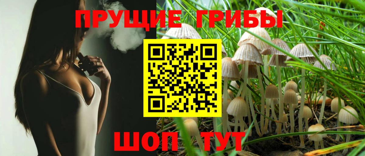 Псилоцибиновые грибы MAGIC MUSHROOMS Знаменск
