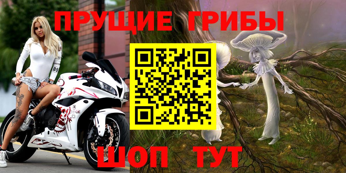 Знаменск  Псилоцибиновые грибы Magic Shrooms  Вход с VPN  Галлюциногенные грибы ЛСД 