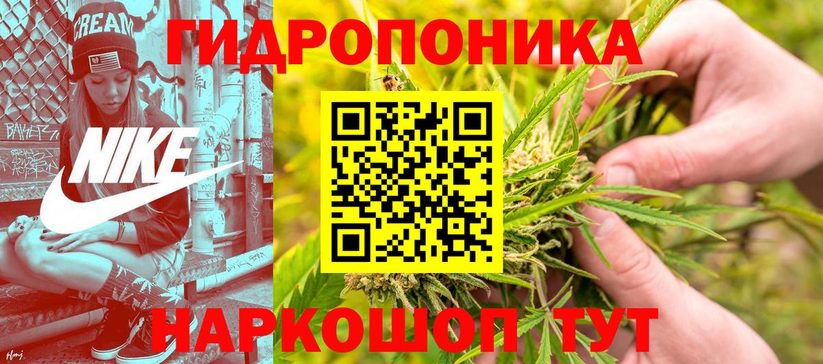 Канабис планчик Знаменск